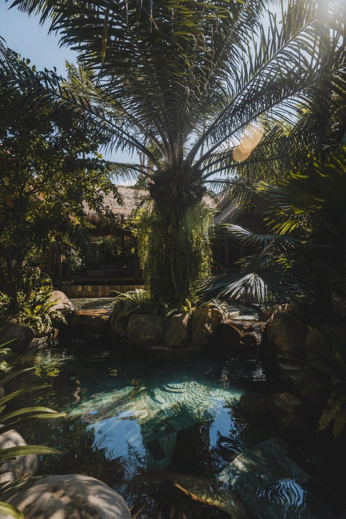 The Seed Bali - Private 8 Bedroom Estate Candi Dasa  Bagian luar foto